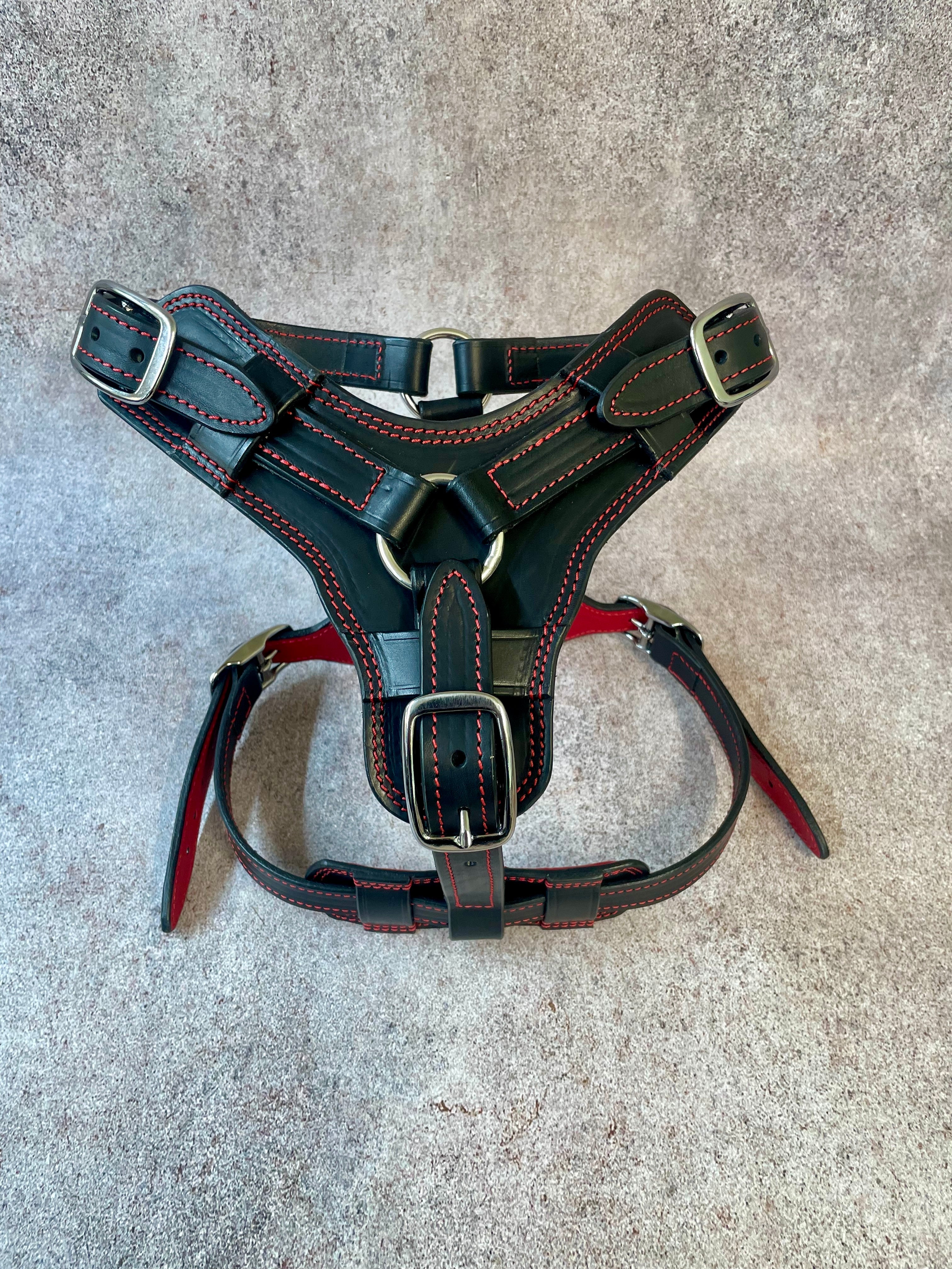 Premium Western Leather Dog Harness Set