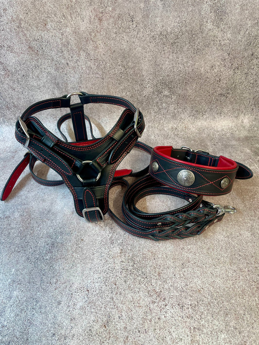 Premium Western Leather Dog Harness Set