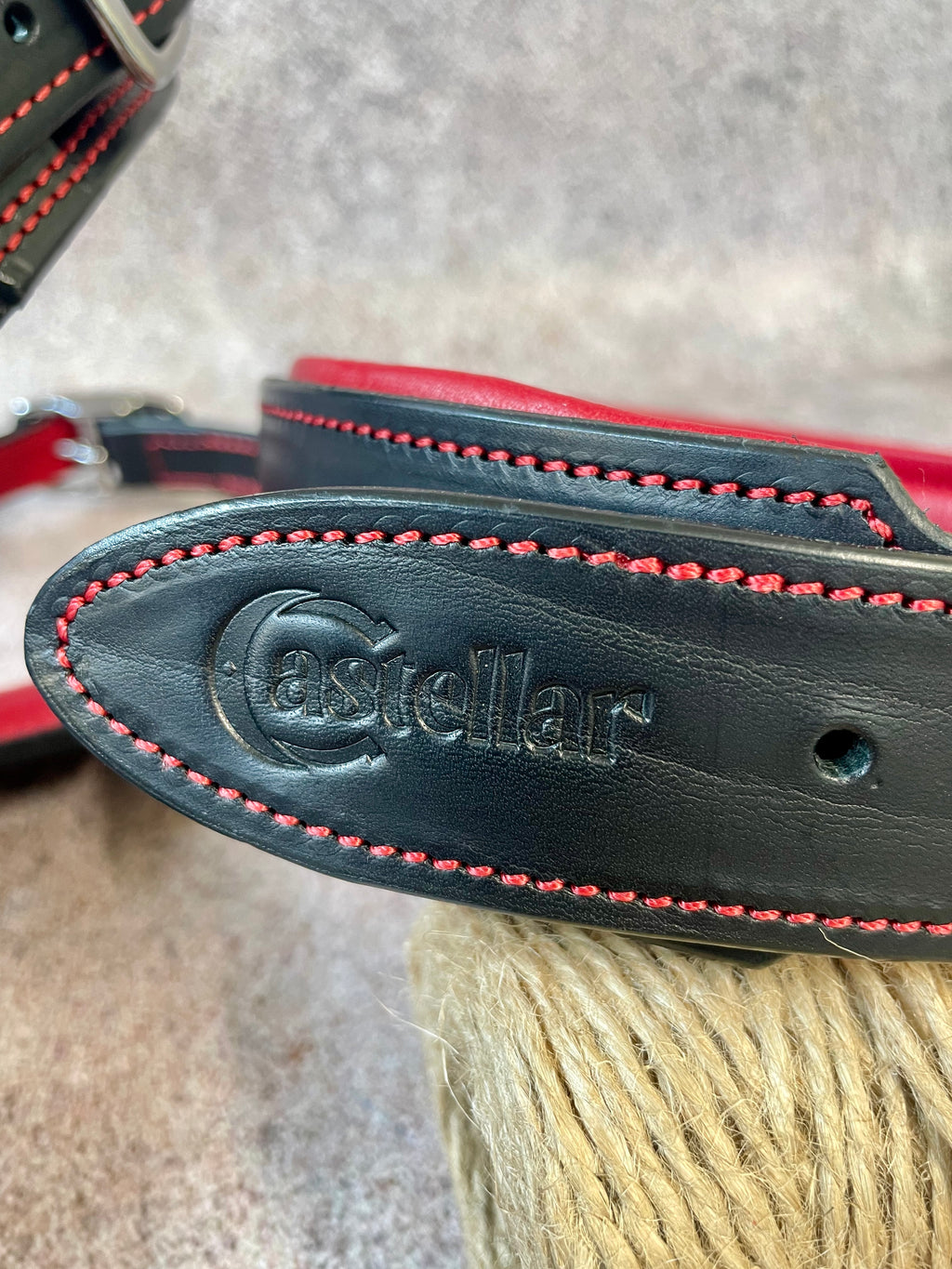 Premium Western Leather Dog Collar and Leash Set