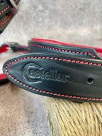 Premium Western Leather Dog Collar and Leash Set