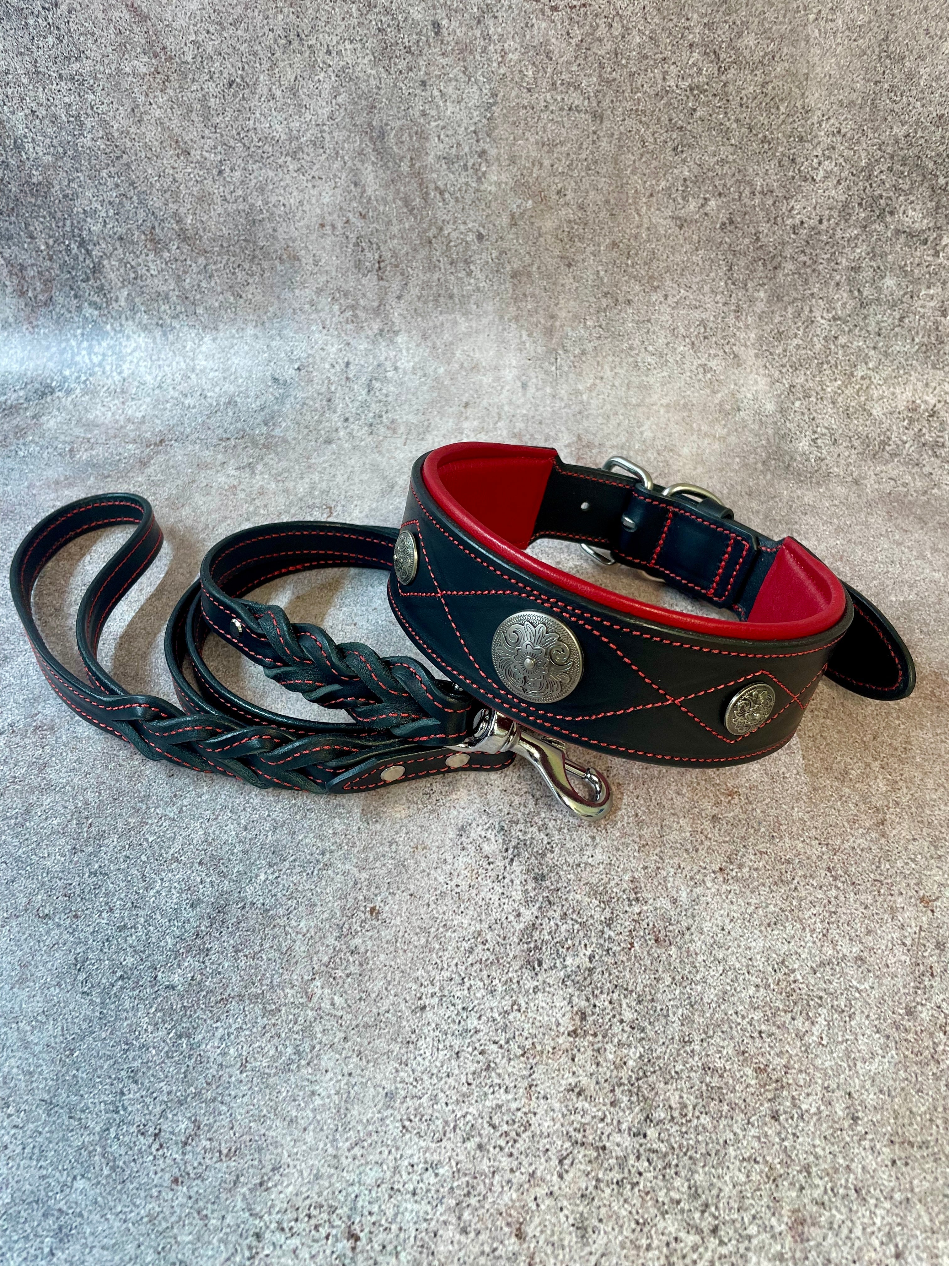 Premium Western Leather Dog Collar and Leash Set