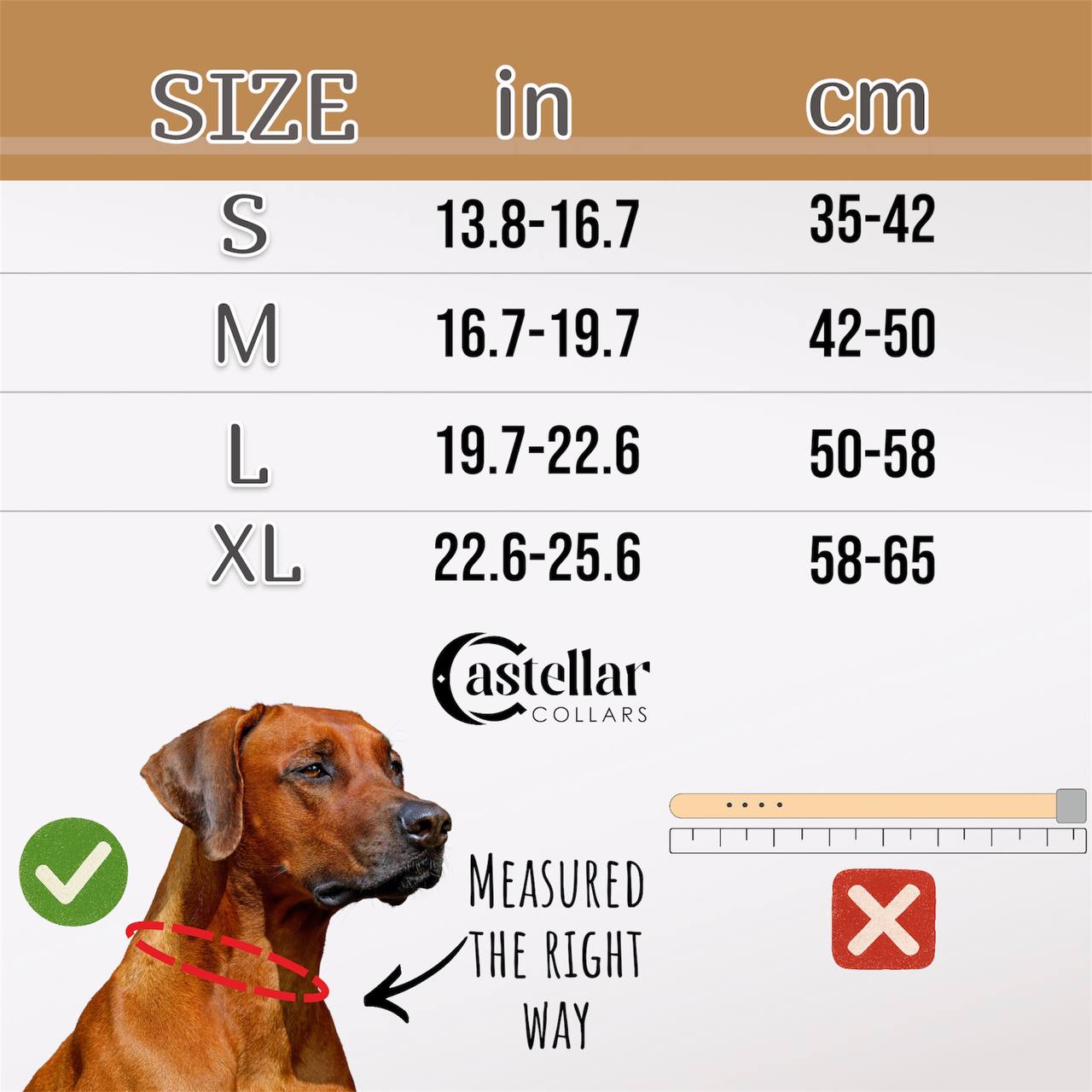 Dog Head Collar Leather, Dog Collar, Leash, Thick Padded Collar for Doberman, German Shepherd, Bulldog, Mastiff, Cane Corso, Pitbull