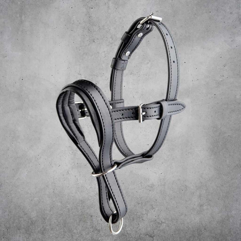 Leather Dog Head Collar No-Pull Walking