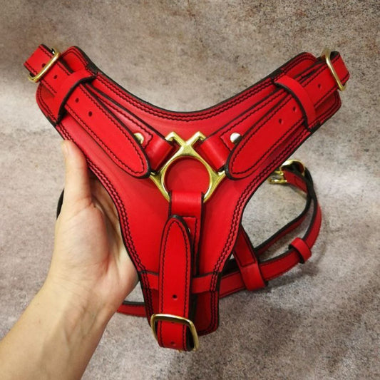 Red Leather Dog Harness