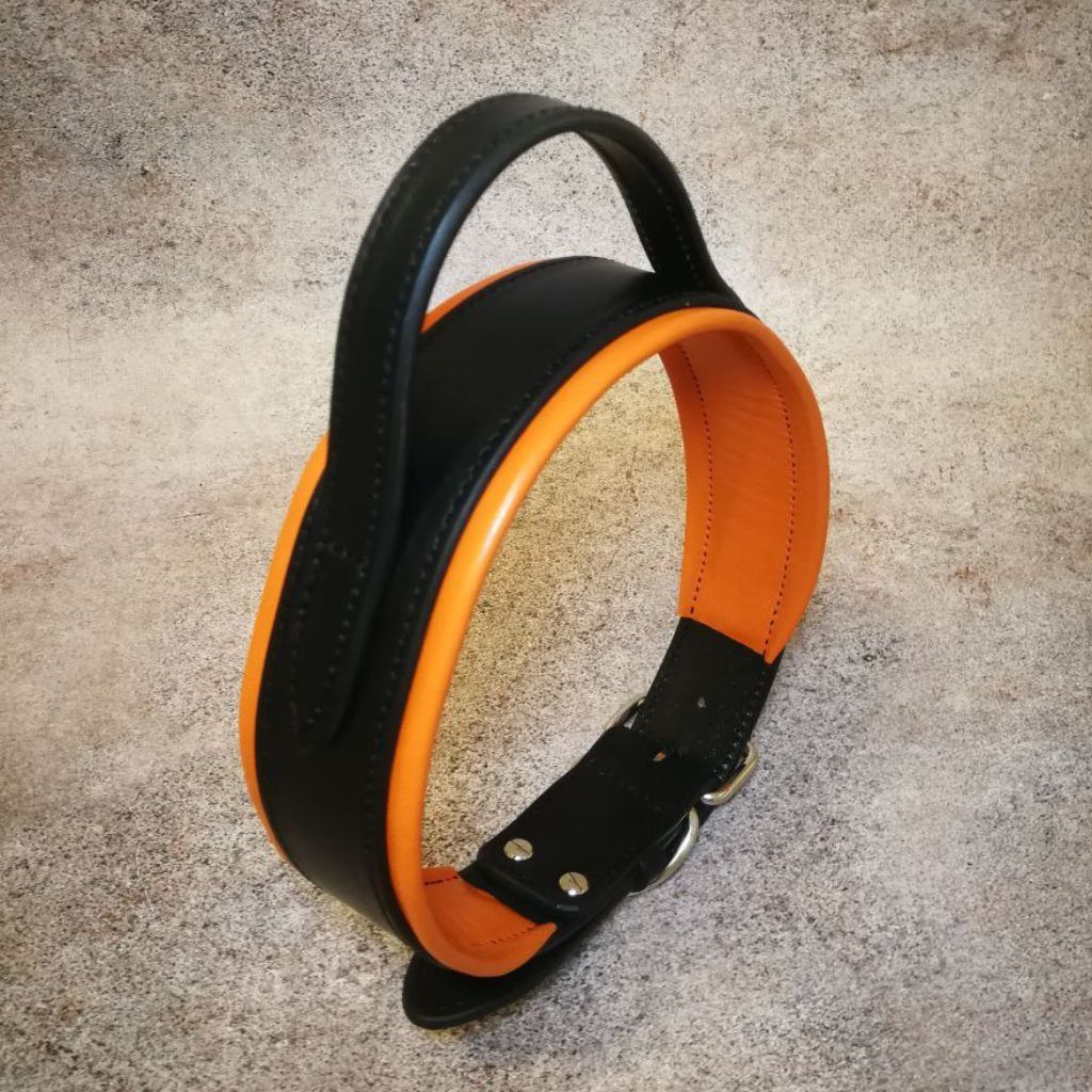 Padded Leather Collar with Handle