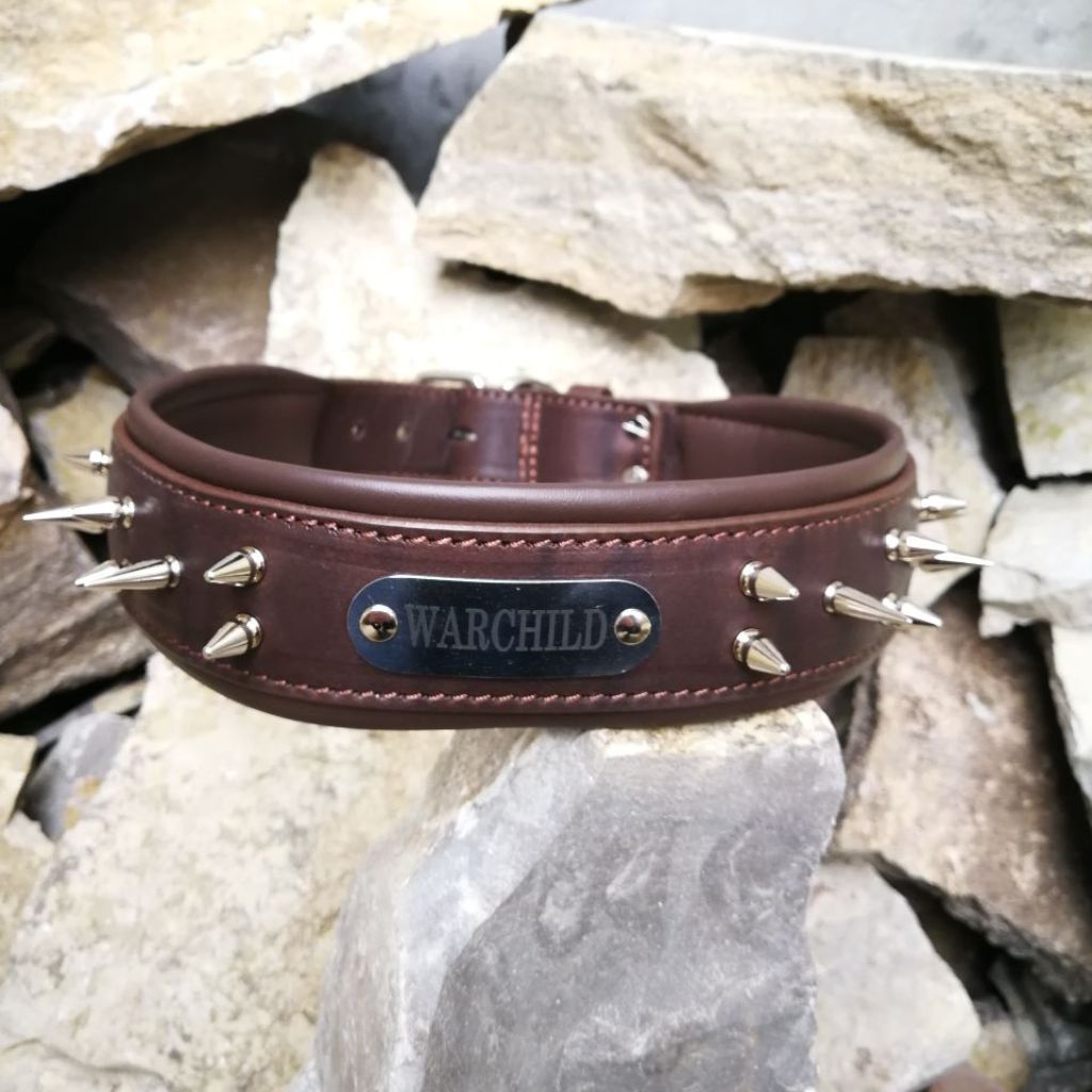 Leather Dog Collar with Nameplate and Spikes