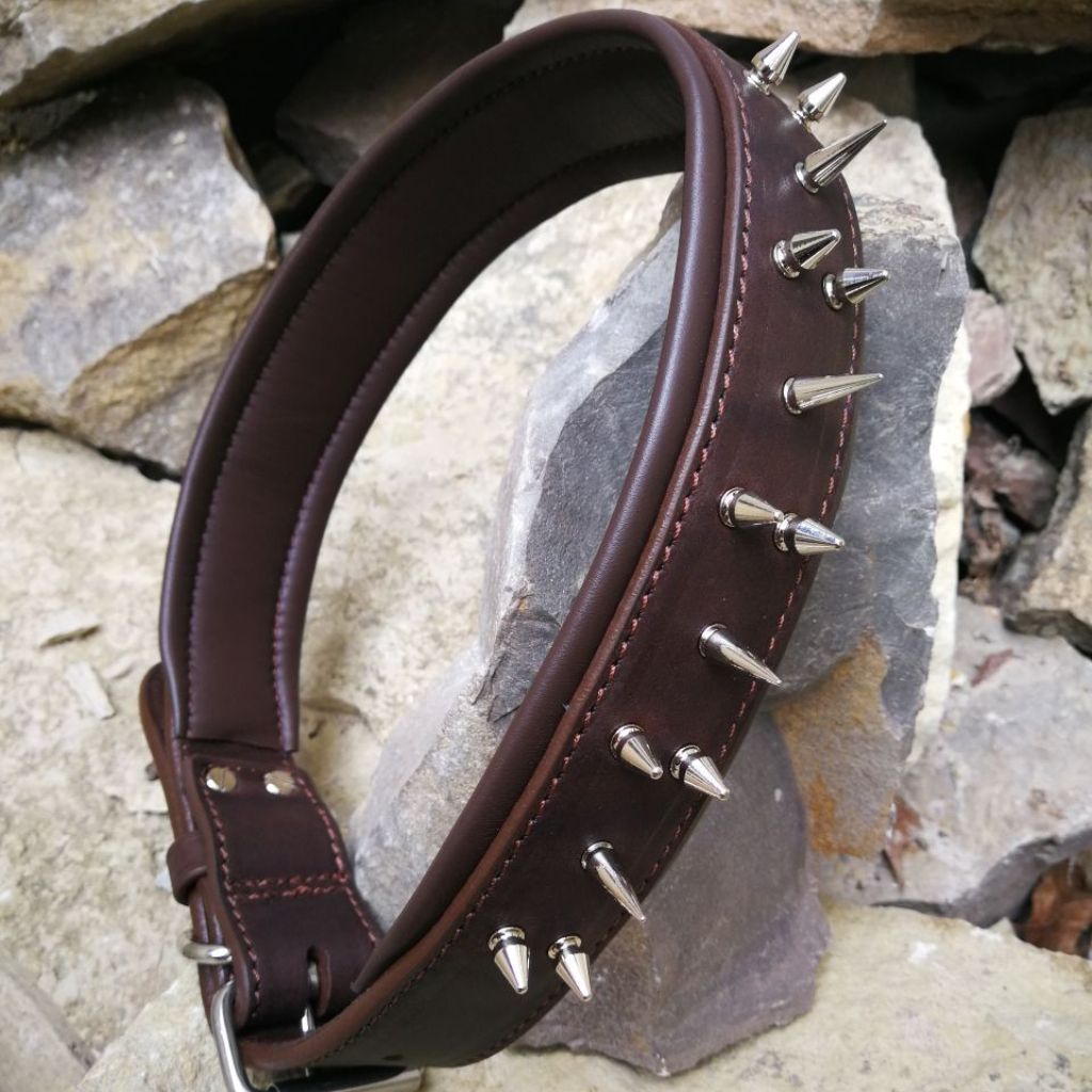 Leather Dog Collar with Nameplate and Spikes