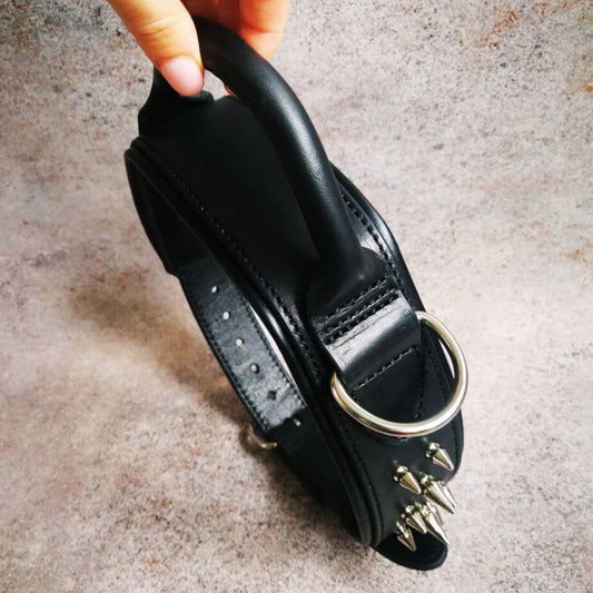 Round Handle Leather Dog Collar