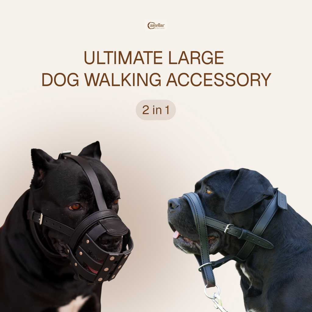Leather Dog Walking Muzzle