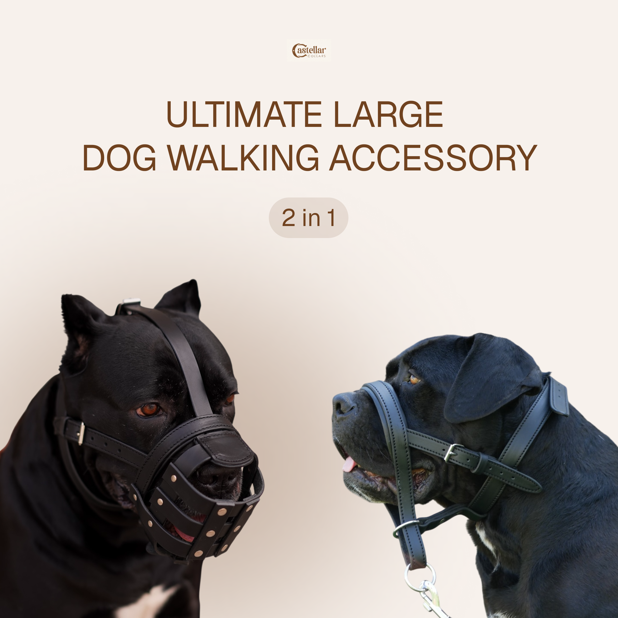 Leather Dog Walking Muzzle