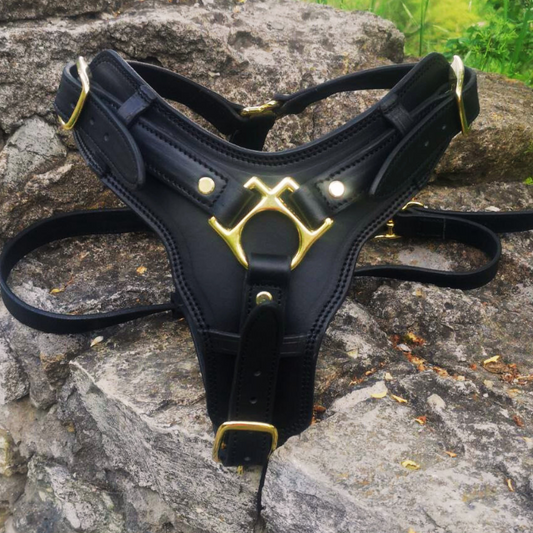 Leather Dog Harness with Handle and Brass Hardware