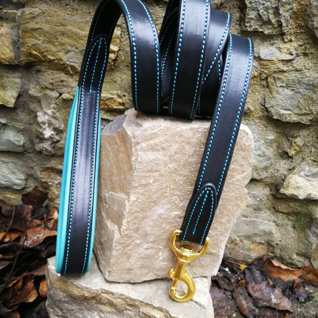 Turquoise Leather Dog Leash