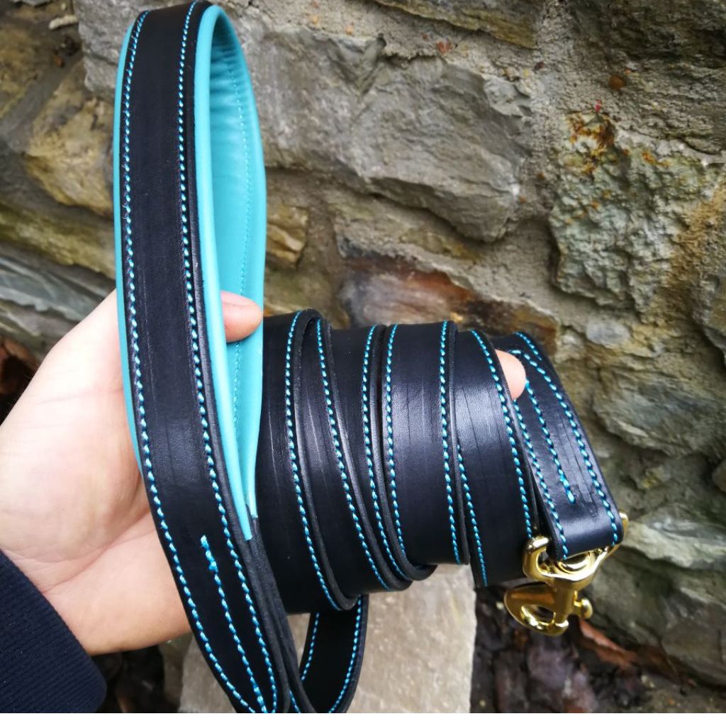 Turquoise Leather Dog Leash