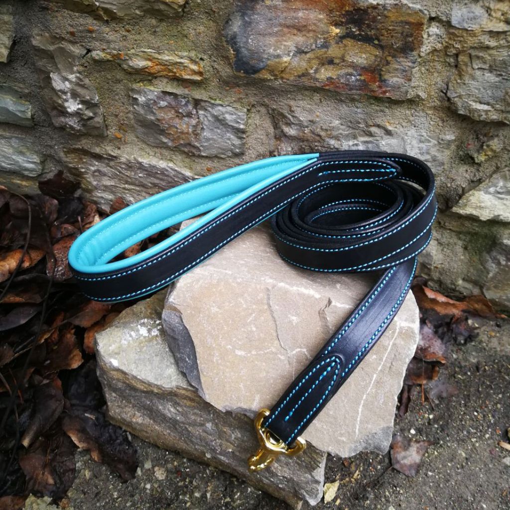 Turquoise Leather Dog Leash