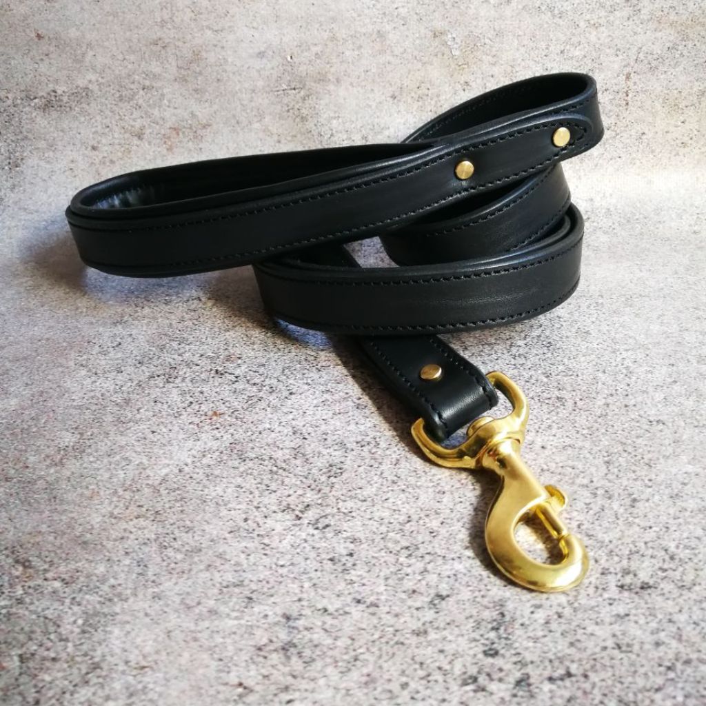 Padded Handle Dog Leash