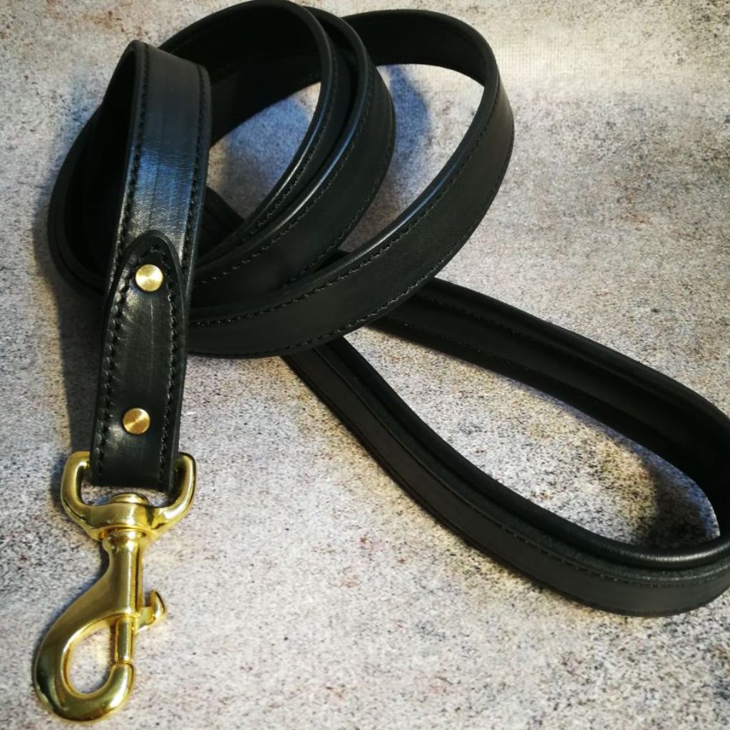 Padded Handle Dog Leash