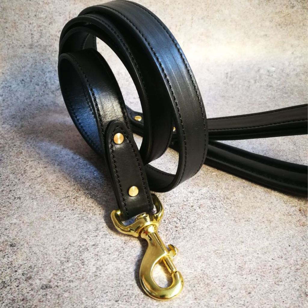 Padded Handle Dog Leash