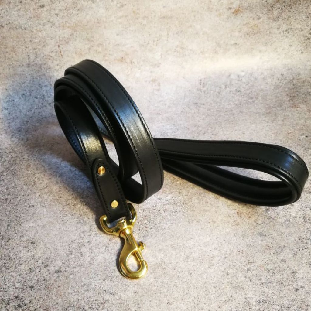 Padded Handle Dog Leash