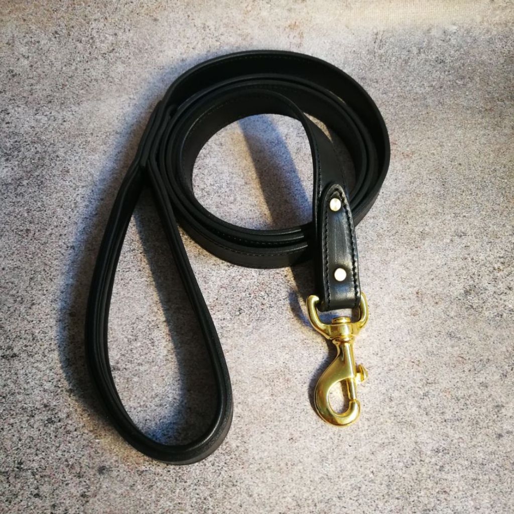 Padded Handle Dog Leash