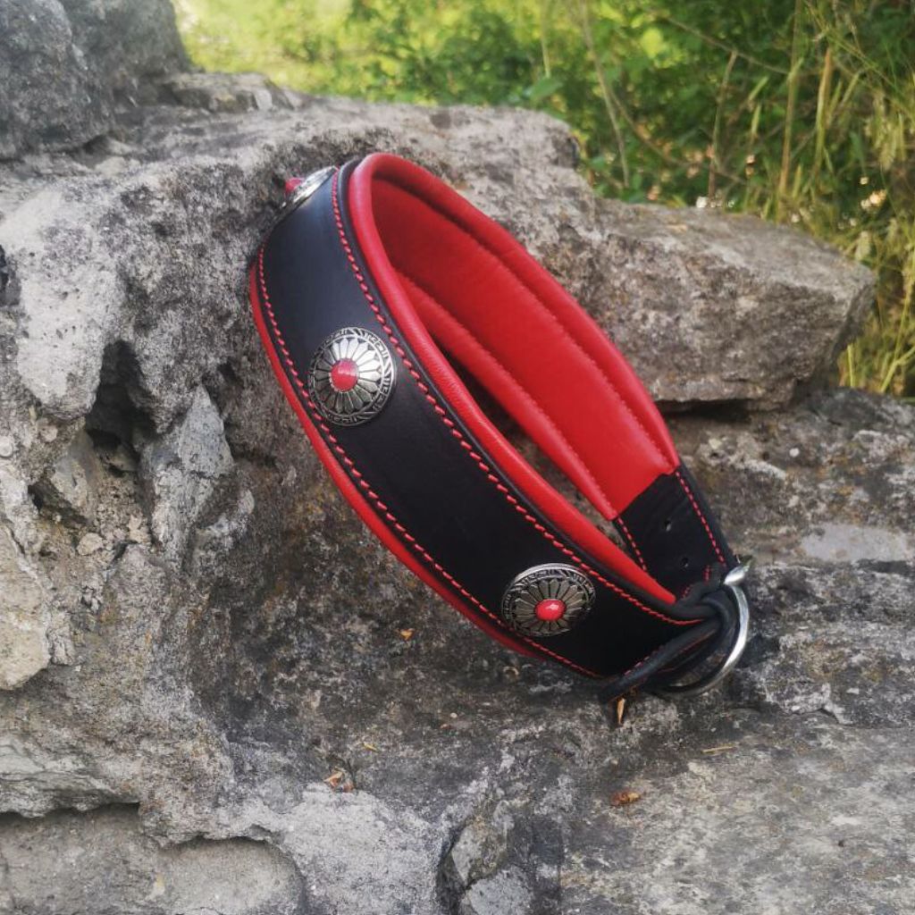 Red Stones Leather Dog Collar