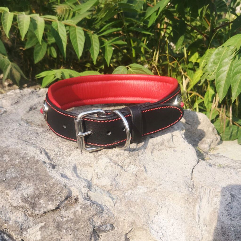 Red Stones Leather Dog Collar