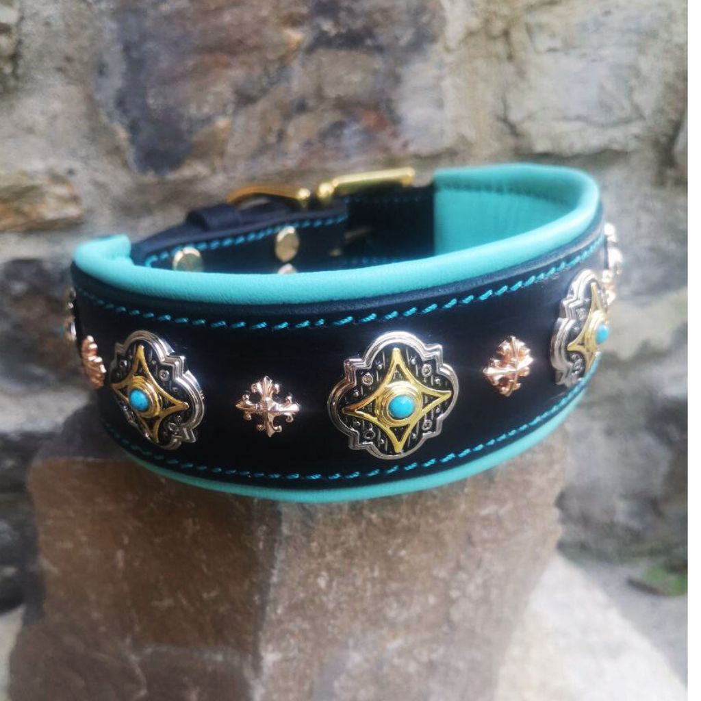Turquoise Leather Dog Collar with Gold Rivets