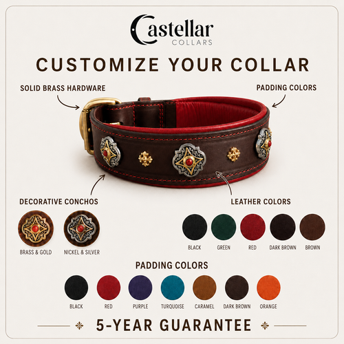 Decorative Leather Dog Collar