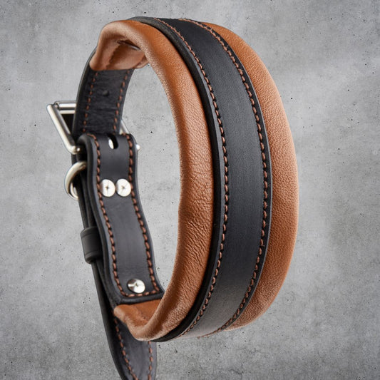 Wide Padded Leather Dog Collar