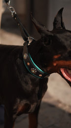 Leather Martingale Dog Collar for Large Dogs