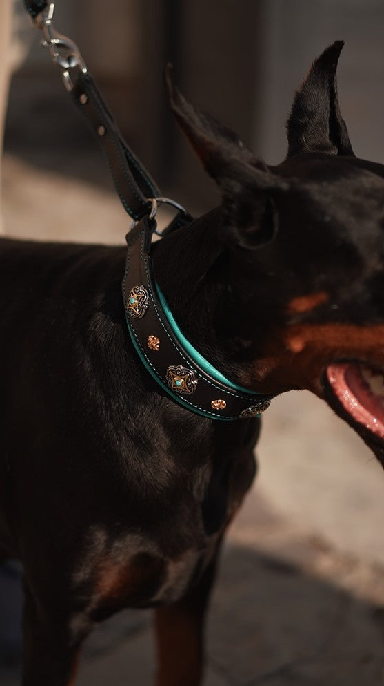 Leather Martingale Dog Collar for Large Dogs