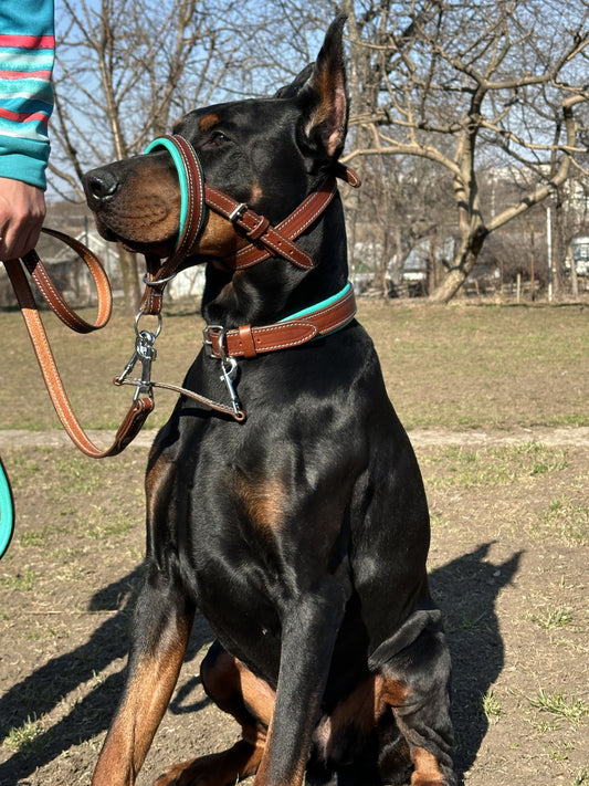 Leather No-Pull Head Collar for Large Dogs