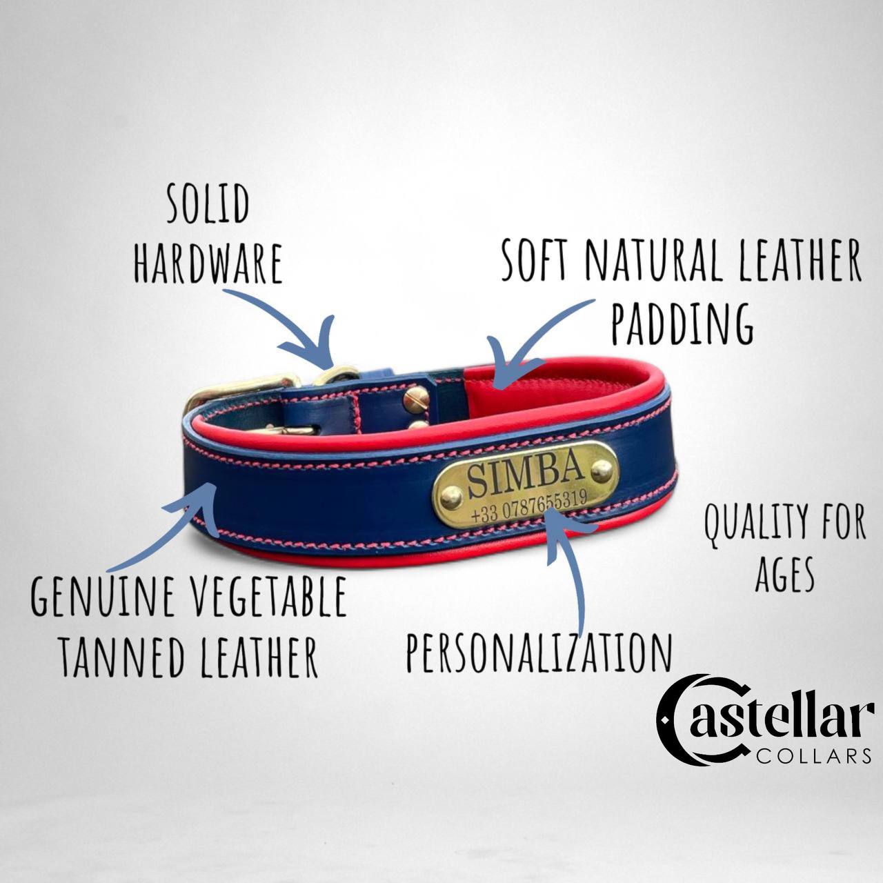 Turquoise Dog Collar with Golden Rivets