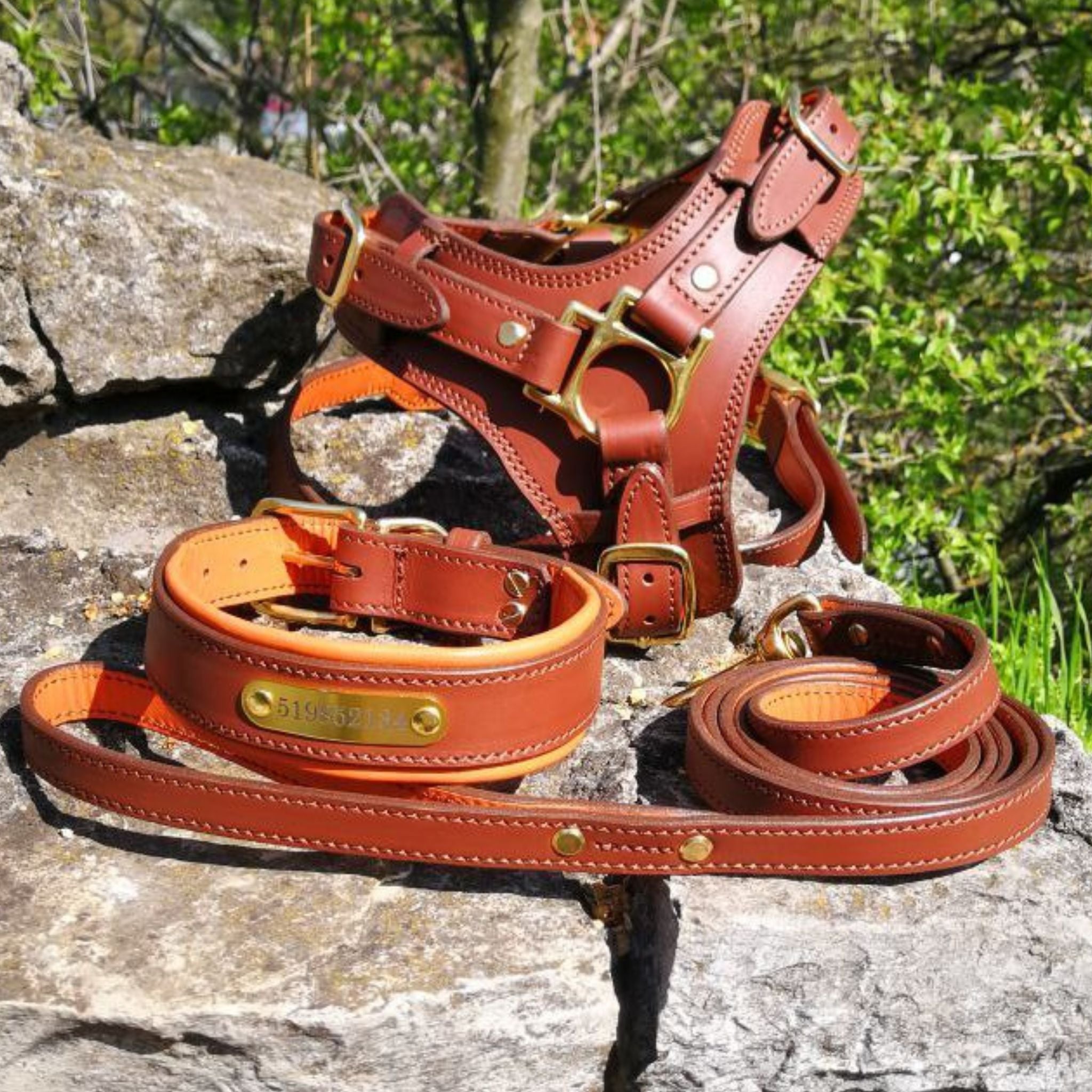 Leather Dog Harness, Leash and Nameplate Collar Set