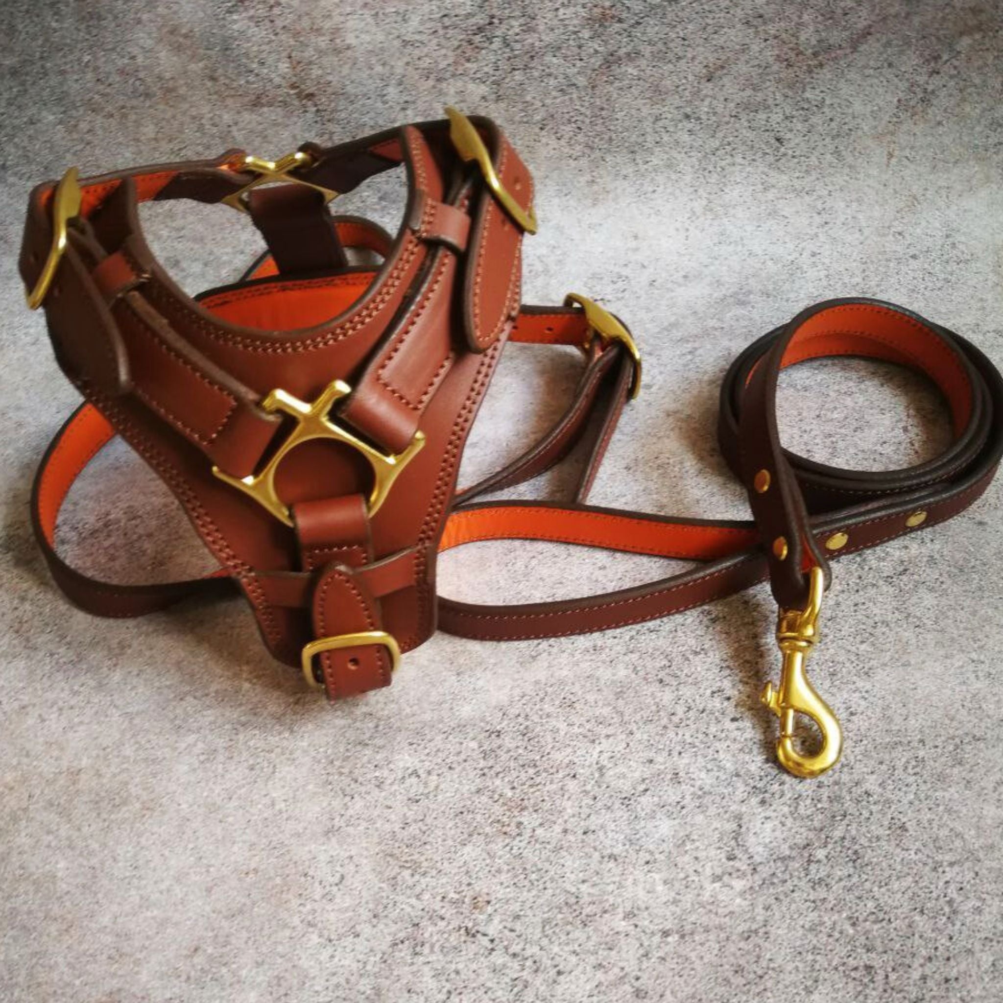 Leather harness deals and leash