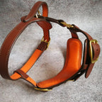 Leather Dog Harness, Leash and Nameplate Collar Set