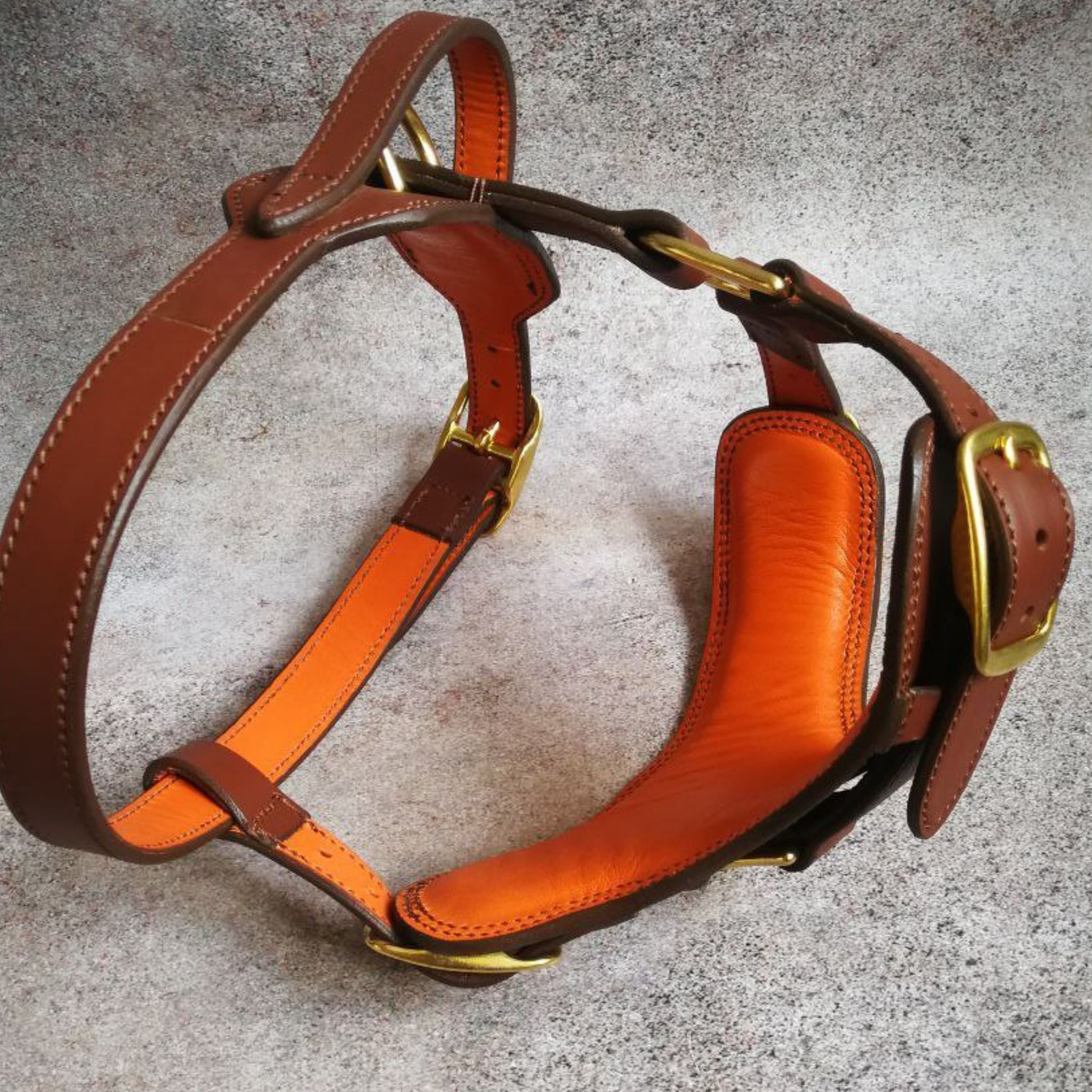 Leather Dog Harness, Leash and Nameplate Collar Set