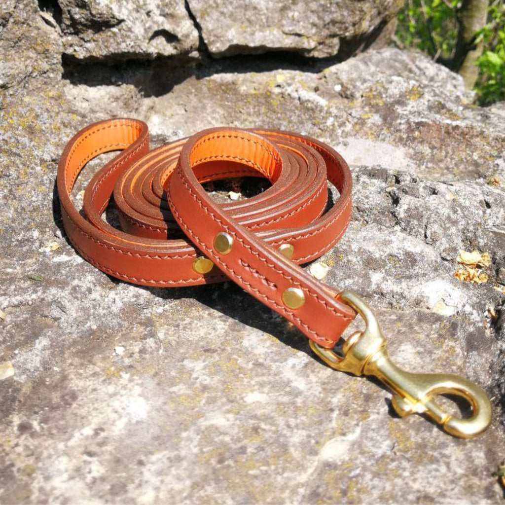 Leather Dog Harness, Leash and Nameplate Collar Set