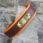 Leather Dog Harness, Leash and Nameplate Collar Set