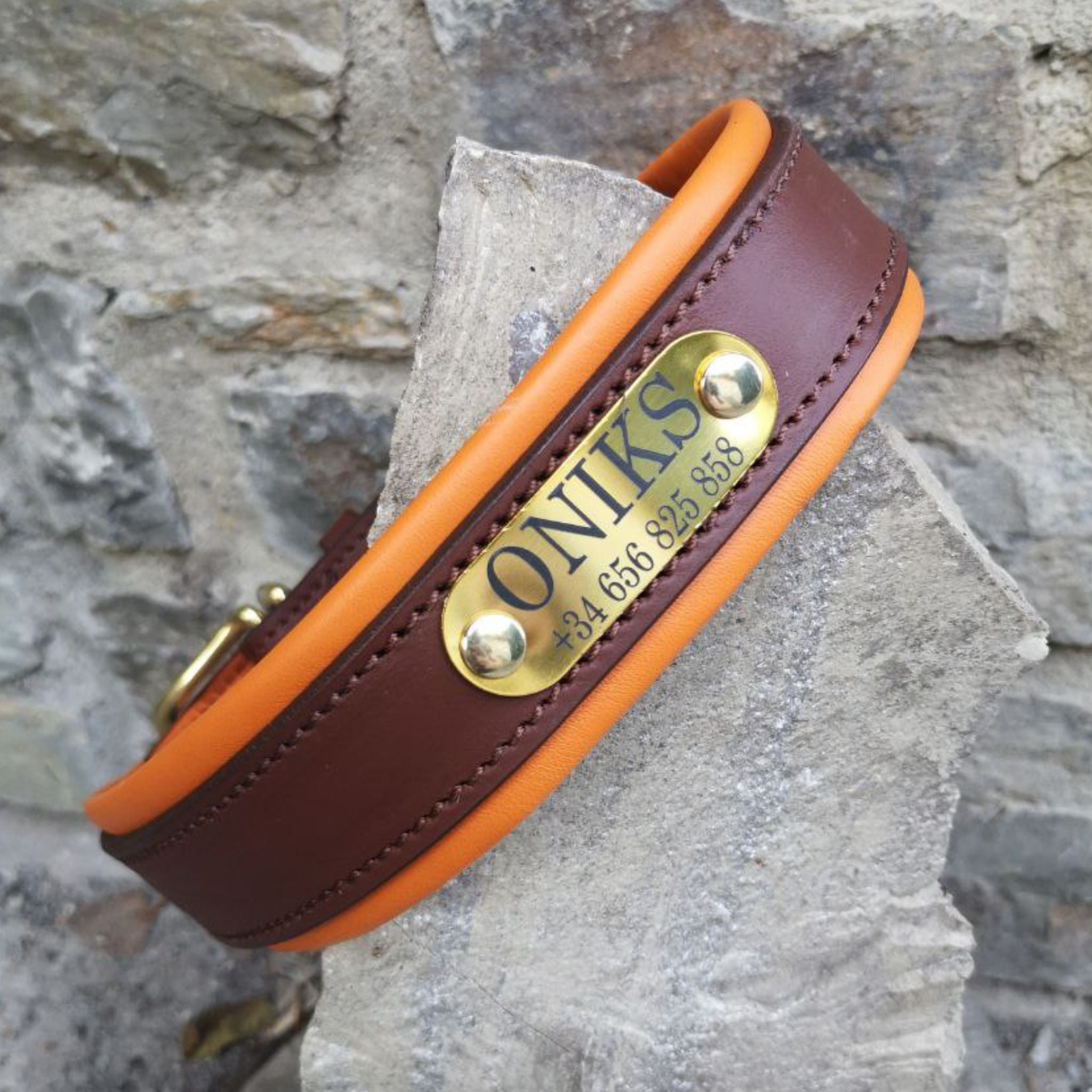 Leather Dog Harness, Leash and Nameplate Collar Set