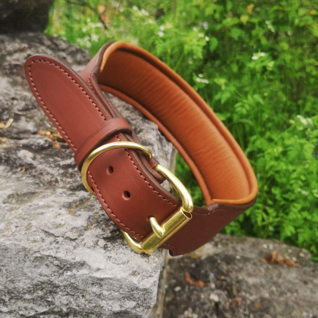 Leather Collar with Brass Nameplate