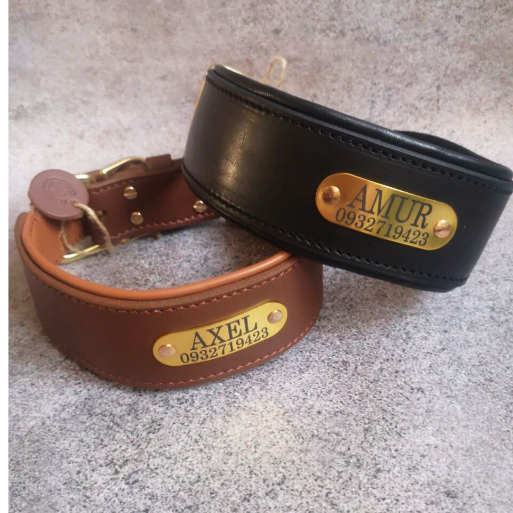 Leather Collar with Brass Nameplate