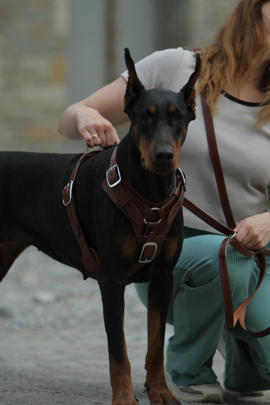 Leather Dog Harness for Large Dogs, Padded Dog Harness with Stainless Steel Buckles