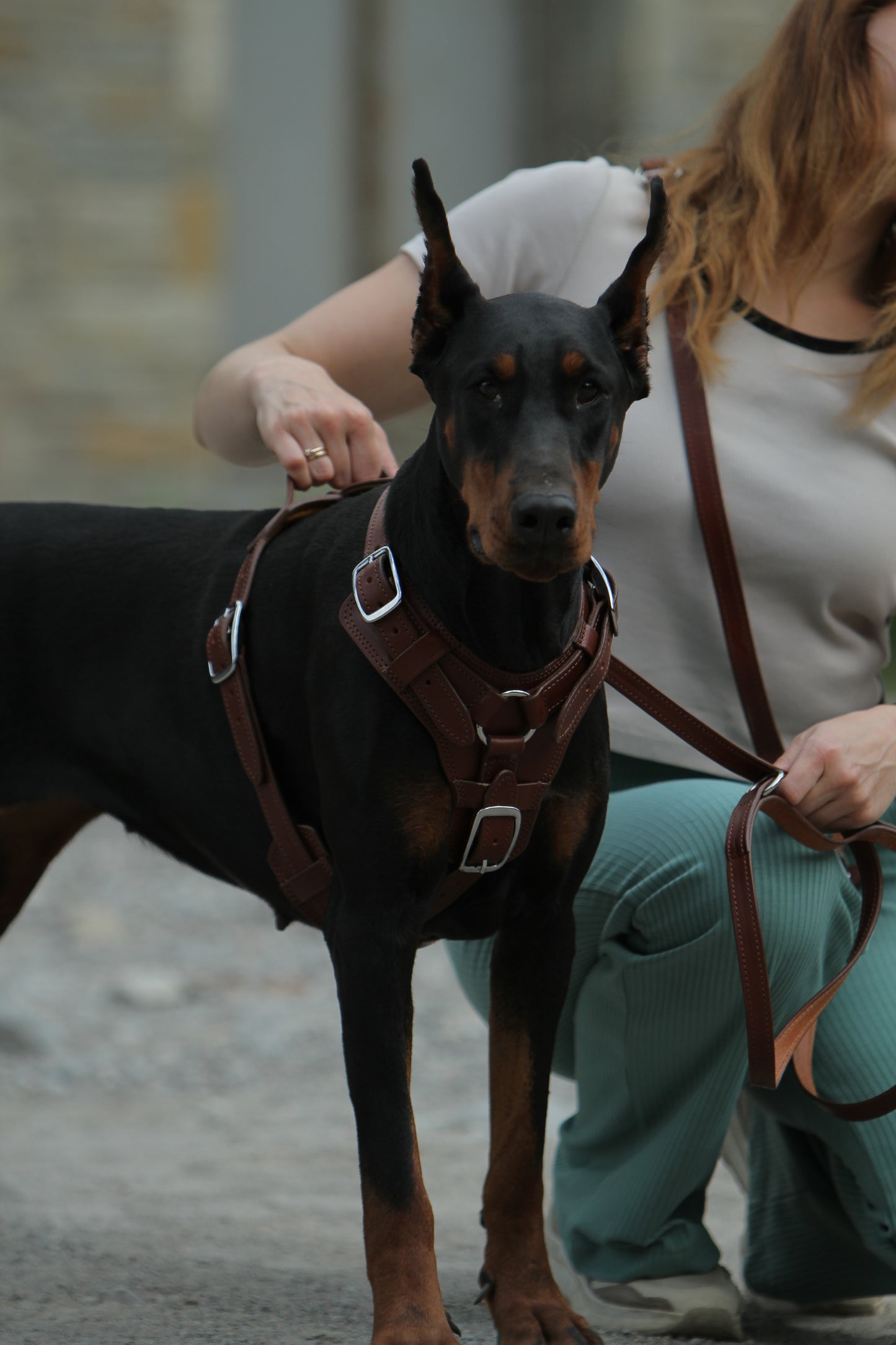 Heavy Duty Leather Dog Harness No Pull