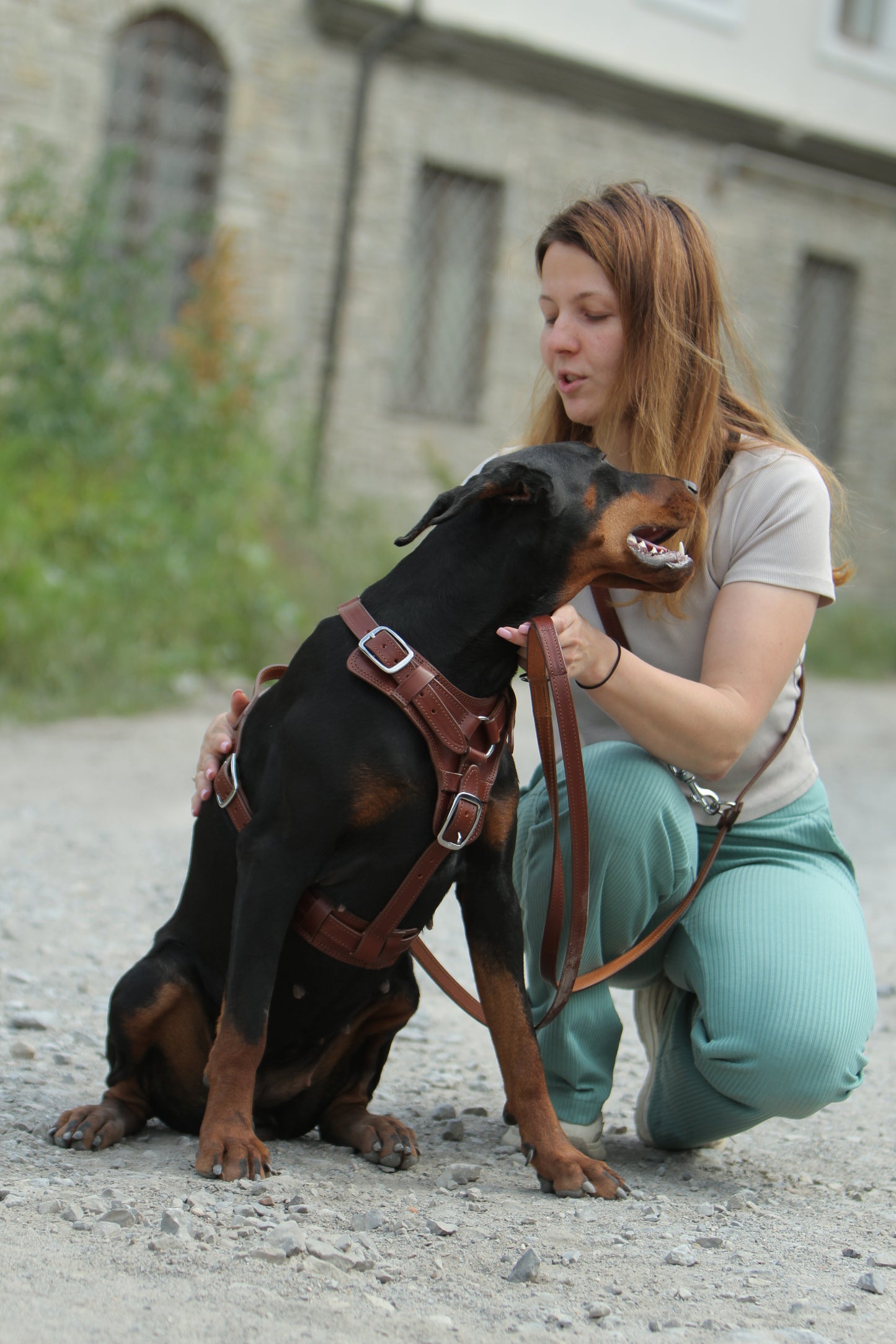 Heavy Duty Leather Dog Harness No Pull
