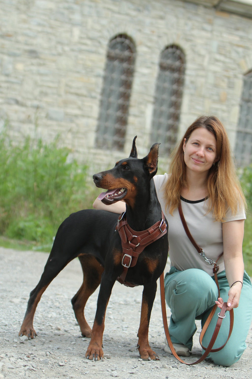 Heavy Duty Leather Dog Harness No Pull