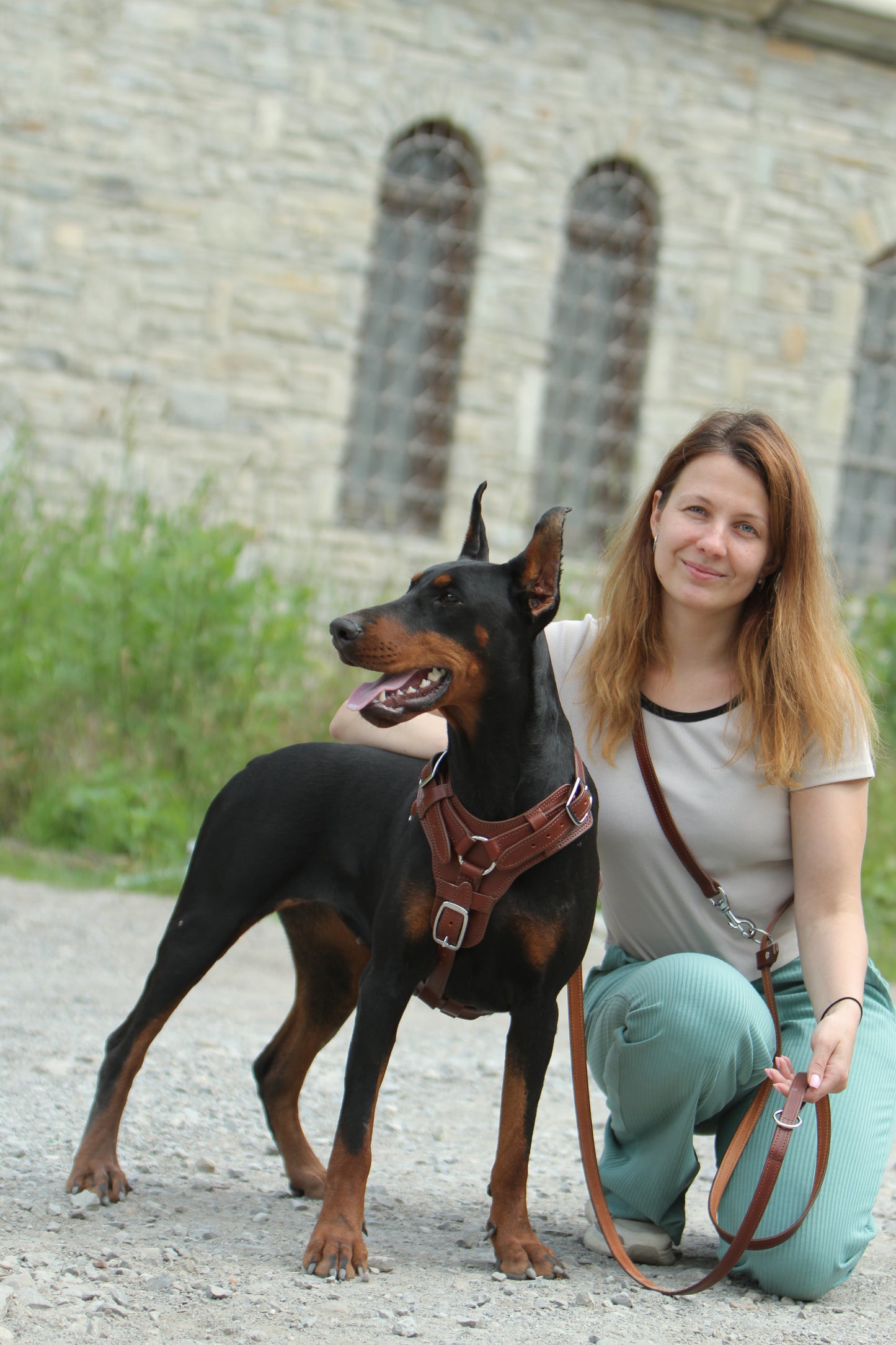 Heavy Duty Leather Dog Harness No Pull