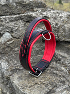 Padded Handle Leather Dog Collar for Large Breeds | Heavy-Duty Training & Control