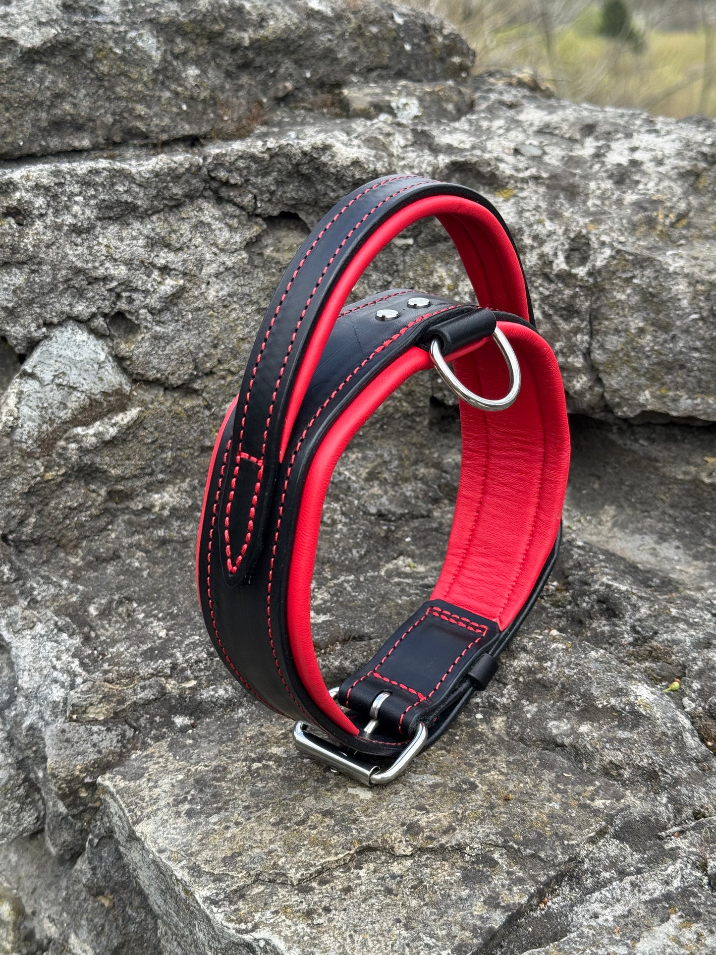 Padded Handle Leather Dog Collar for Large Breeds | Heavy-Duty Training & Control