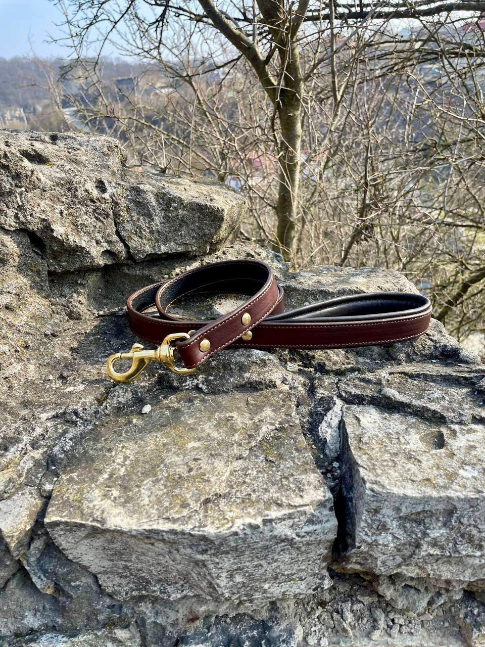 Leather Dog Leash with Soft Padded Handle