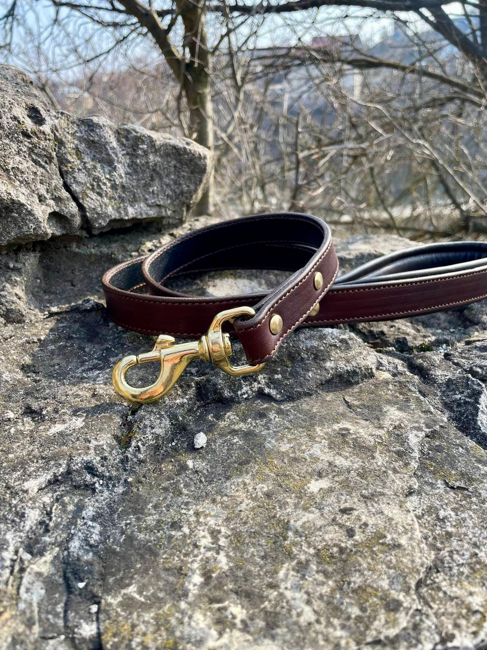 Leather Dog Leash with Soft Padded Handle